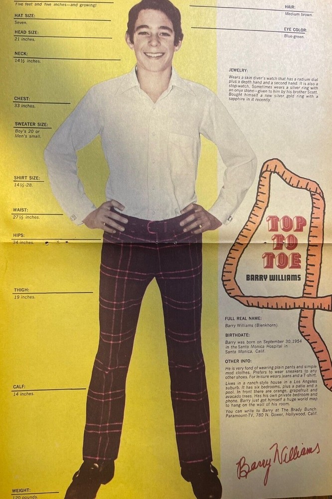 1971 Poster Actor Barry Williams Greg Brady