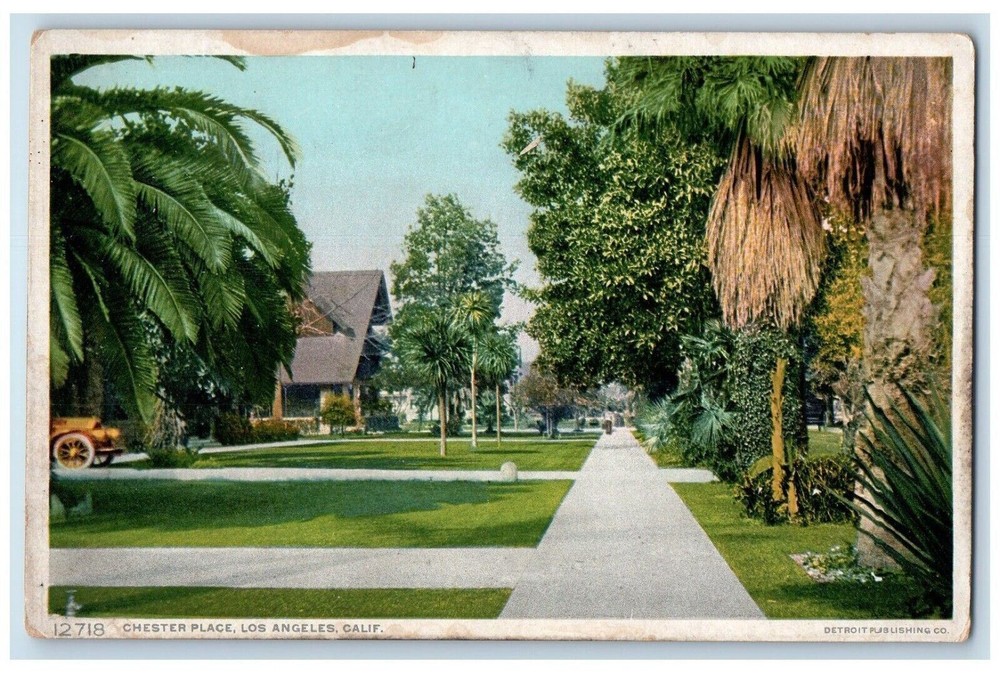 c1910 Scenic View Chester Place Los Angeles California Vintage Antique Postcard
