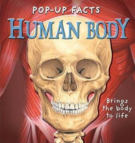 Pop-up Facts: Human Body by Richard Dungworth: Used
