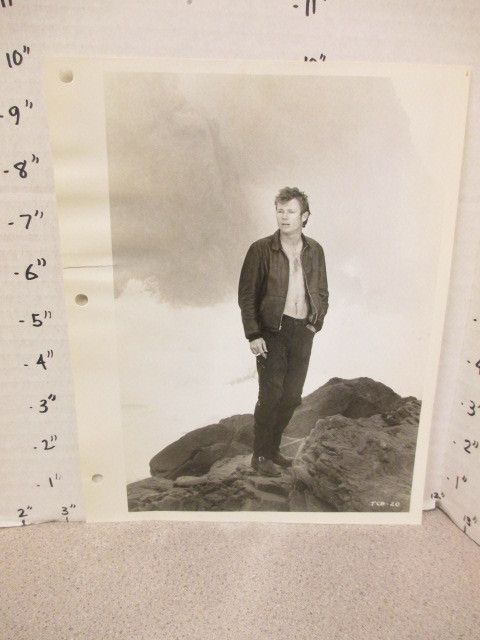 1969 NBC show THEN CAME BRONSON Michael Parks shirtless photo