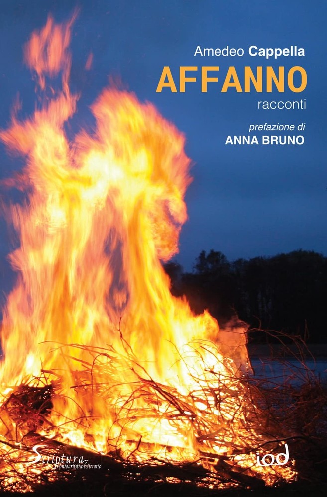 Anna Bruno Amedeo Cappella Affanno (Paperback)Another great item from Rarewaves USA | Free delivery!