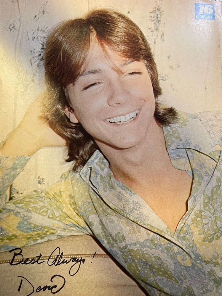 1971 Vintage Illustration Musician David Cassidy