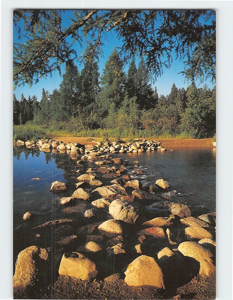 Postcard Mississippi Headwaters Itasca State Park Park Rapids Minnesota USA