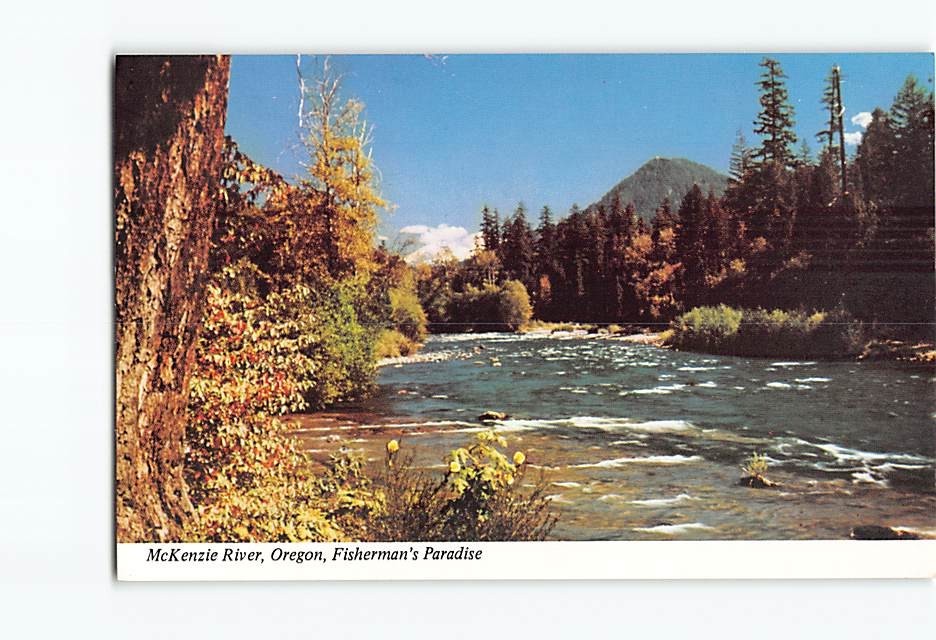 Postcard McKenzie River Oregon USA