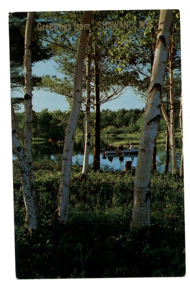 Shawano Wisconsin lake motor boat fishing white birch trees vintage postcard