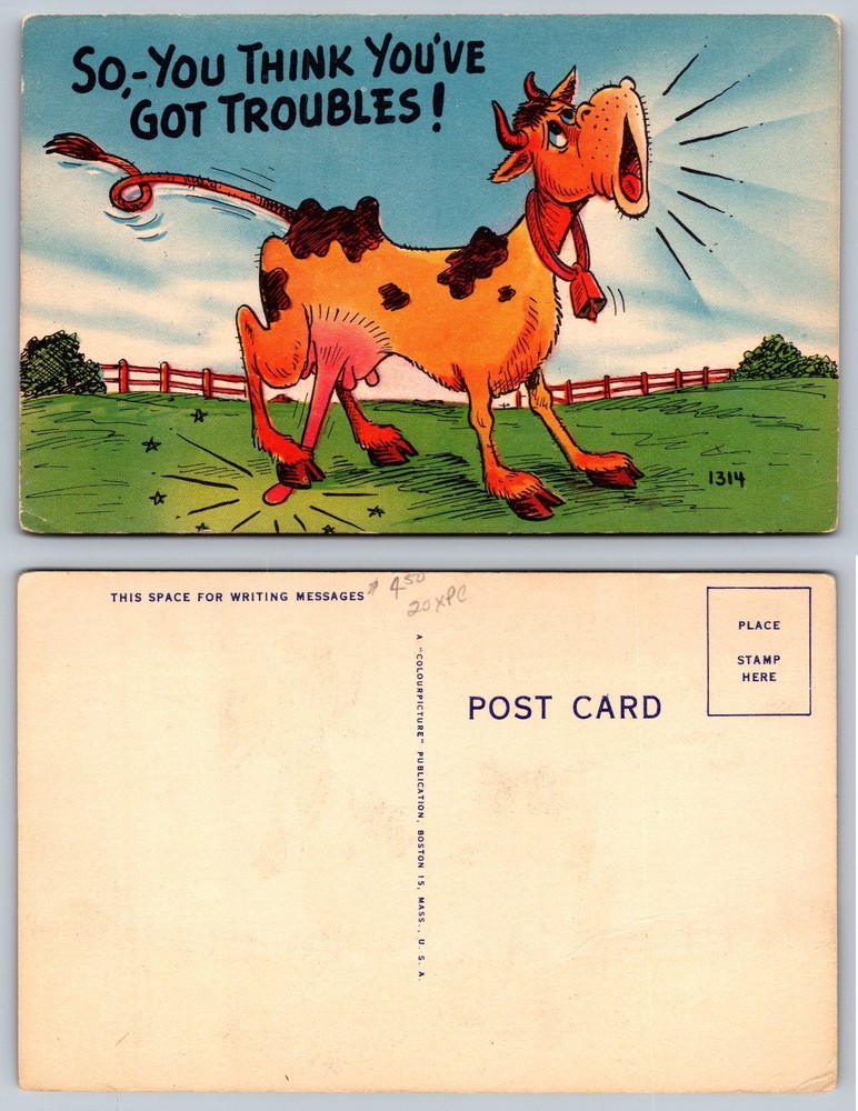 Humorous Cartoon Cow Postcard 
