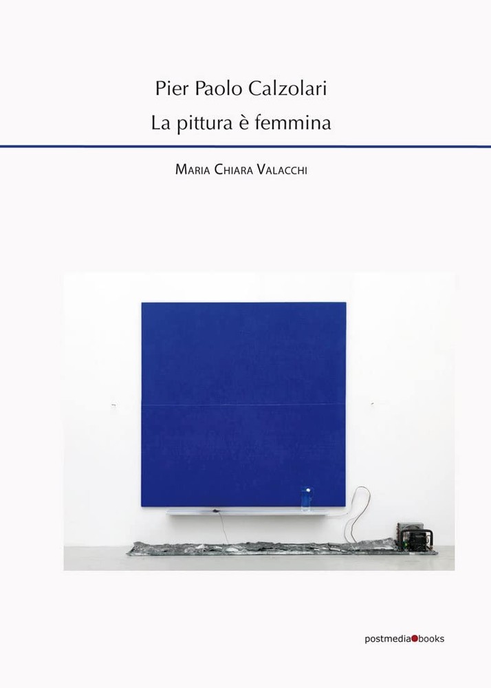 Maria Chiara Valacchi Pier Paolo Calzolari. La pittura è femmina (Paperback)Another great item from Rarewaves USA | Free delivery!
