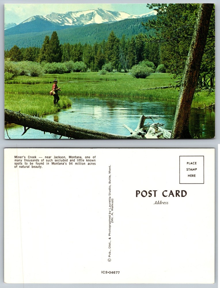 Miners Creek Near Jackson Montana Fly Fisher Postcard