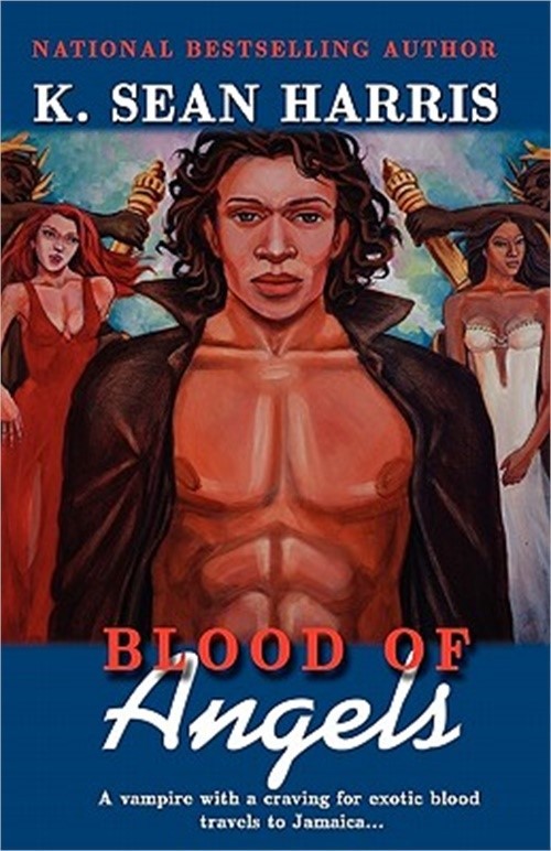 Blood of Angels (Paperback or Softback)