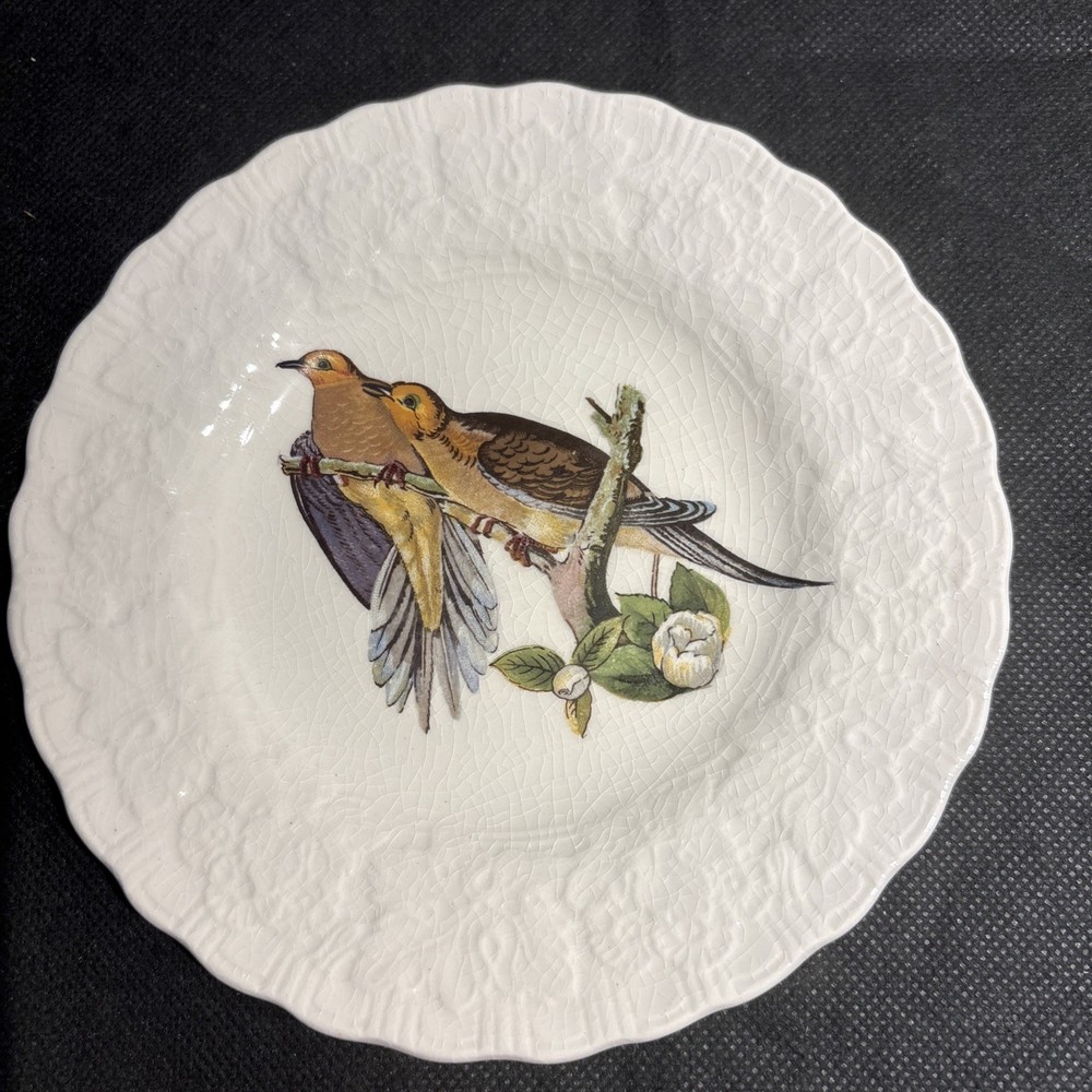Vtg Alfred Meakin Birds Of America Series 6” Plate