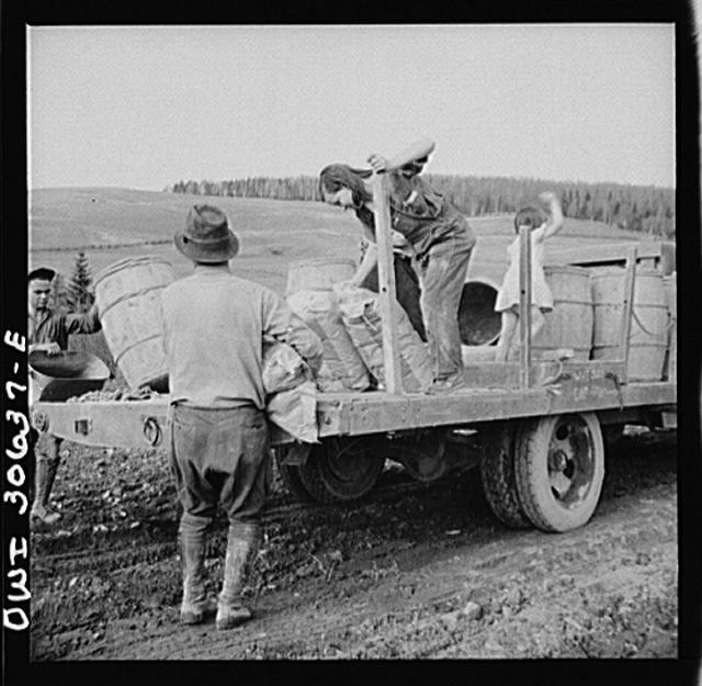 Photo:Fort Kent Maine 1900s Spring Potato Planting Leonard Gagnon Farm