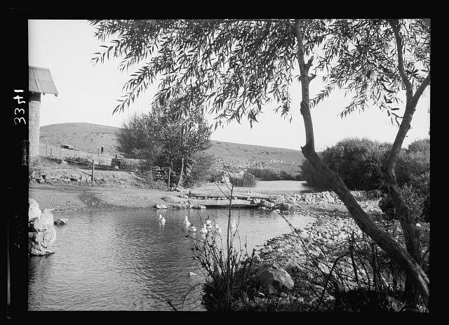 Es-Salt Jordan 1920s Wady Sha'ib Source of the Zerka Valley River Scene