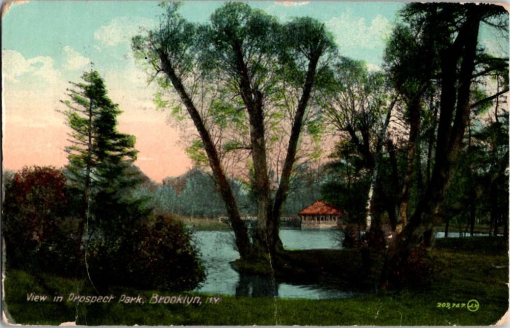 Divided-Back PARK SCENE Brooklyn - New York City NY m/14 BB9349