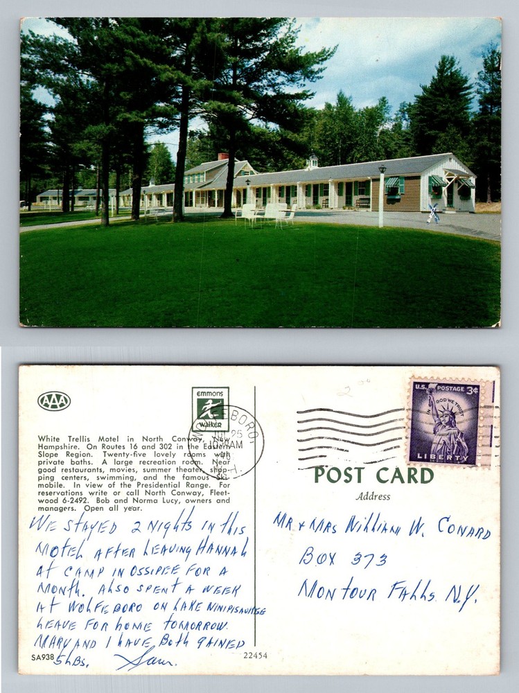 North Conway, NH-New Hampshire, White Trellis Motel & Grounds Vintage Postcard