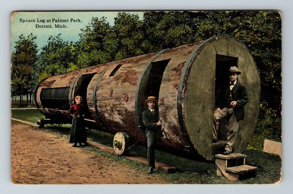 Detroit MI-Michigan, Spruce Log At Palmer Park Vintage Souvenir Postcard