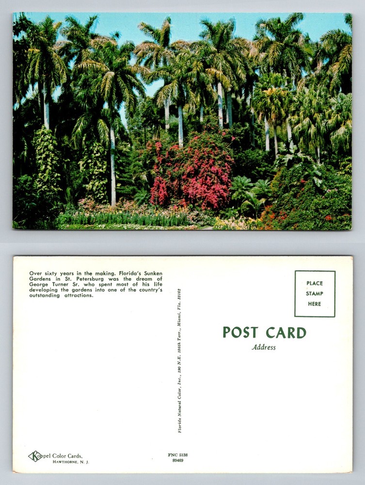 St Petersburg FL-Florida, Sunken Gardens Palm Trees Flowers Vintage Postcard