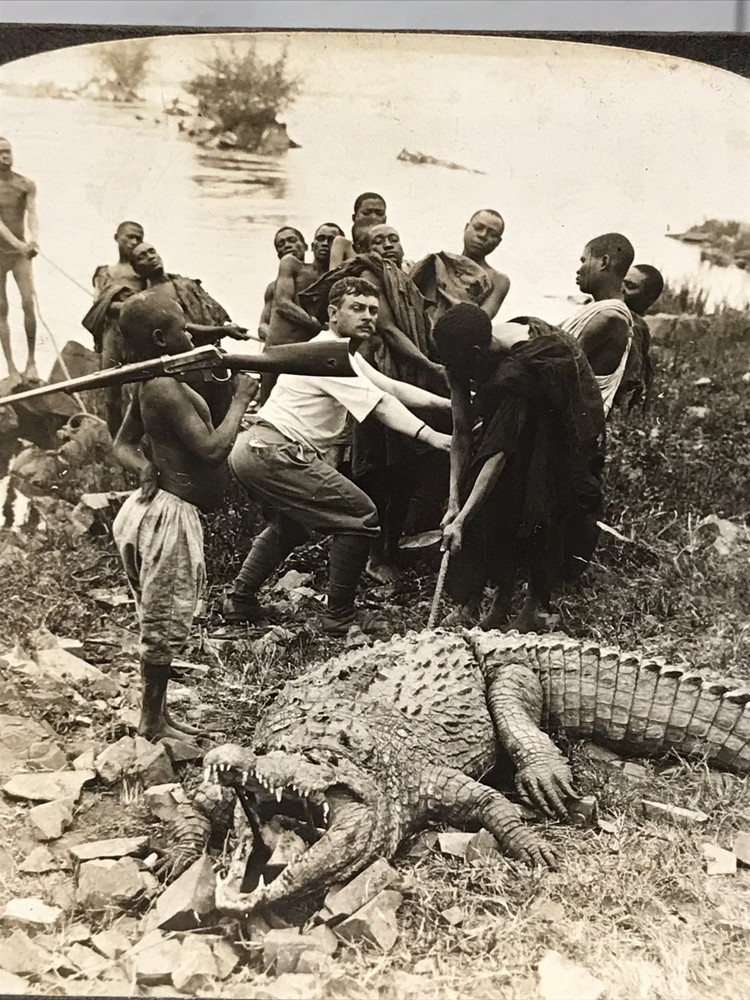 Antique Underwood Stereoview Card ~ Crocodile Hunting East Africa Nile ~ 10561