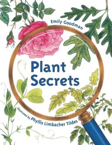 Plant Secrets by Emily Goodman: Used