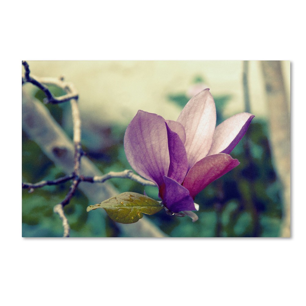 Pink Magnolia Floral Art Print by Patty Tuggle 16x24 Inch