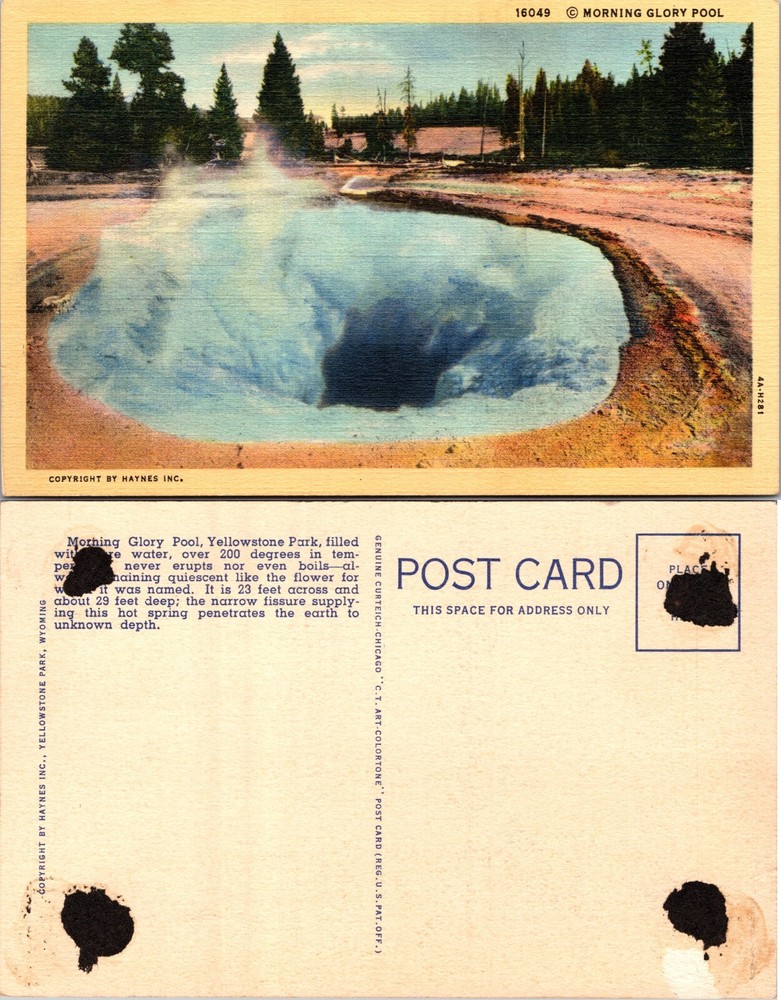 Morning Glory Pool Yellowstone National Park Wyoming WY Postcard
