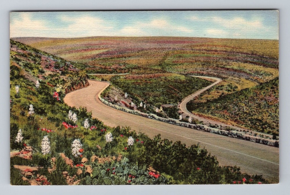 New Mexico NM Carlsbad Caverns Drive Through National Park Vintage Postcard