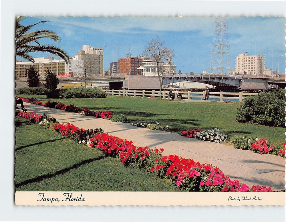 Postcard Skyline of Tampa Florida USA