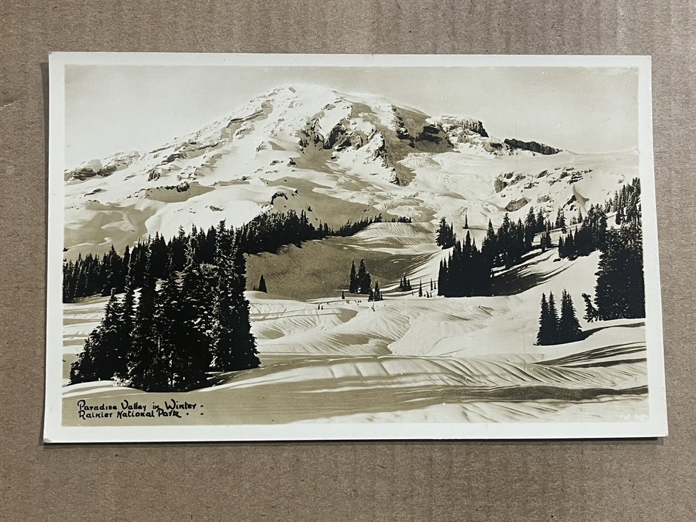 Postcard RPPC Mount Rainier National Park Scenic Paradise Valley WA Washington