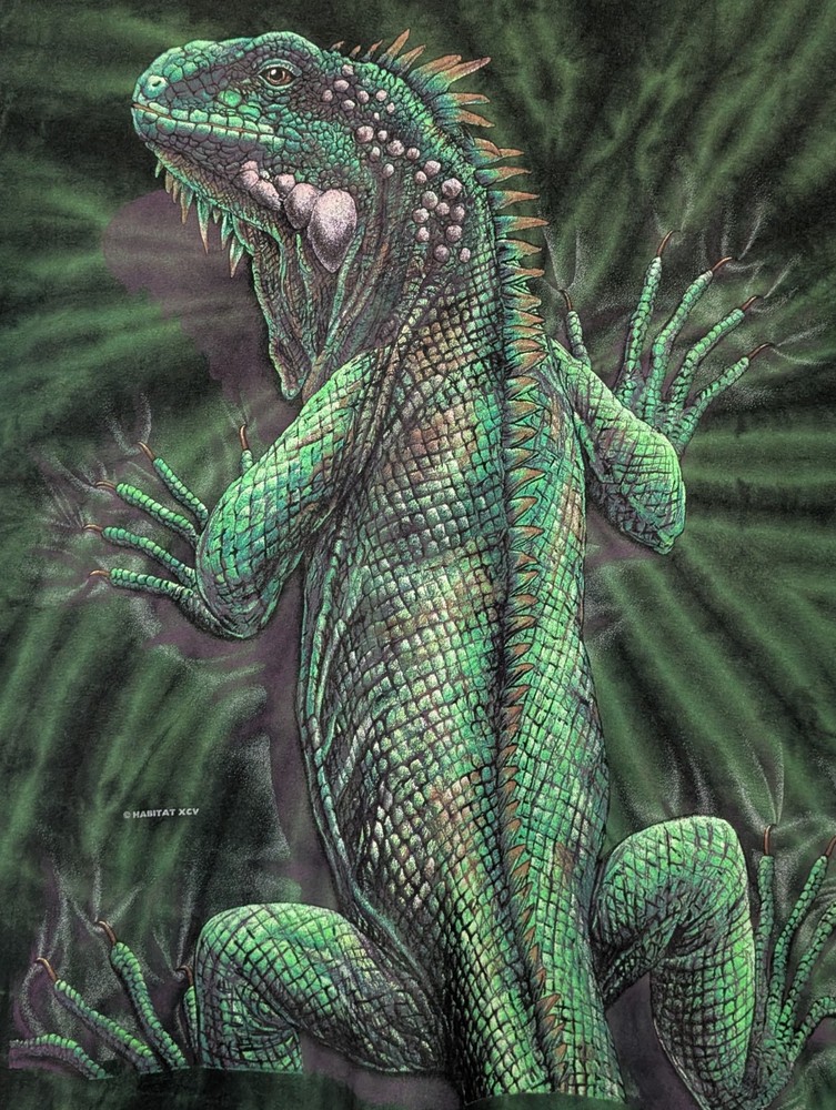 Rainforest Cafe By The Mountain Men's T-shirt Green Vintage Iguana Defect #6384