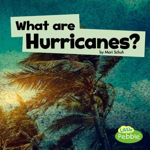 What Are Hurricanes?, Paperback by Schuh, Mari, Like New Used, Free shipping ...