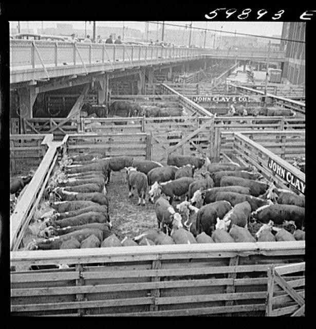 Omaha,Nebraska,NE,Douglas County,Union Stockyards,Marion Post Wolcott,FSA,10