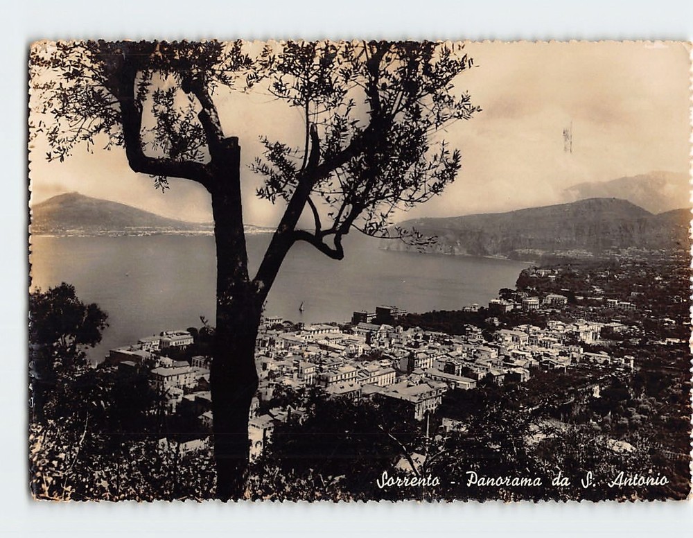 Postcard Panorama View Of S  Antonio Sorrento Italy