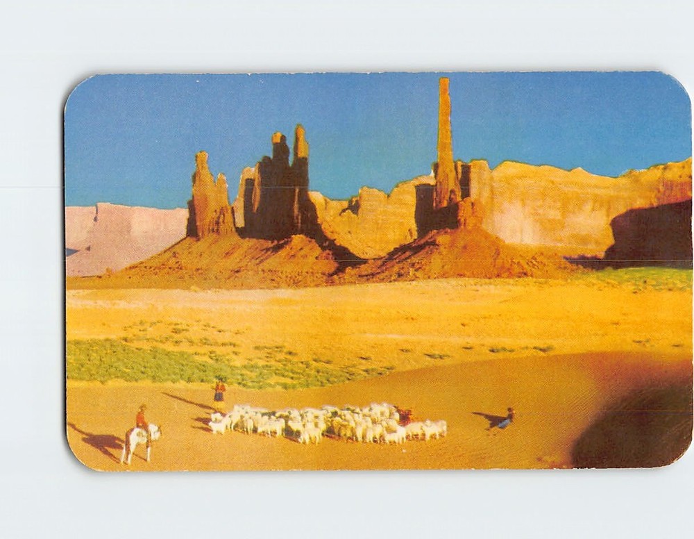 Postcard Navajo Children Rest Their Sheep  Monument Valley Arizona