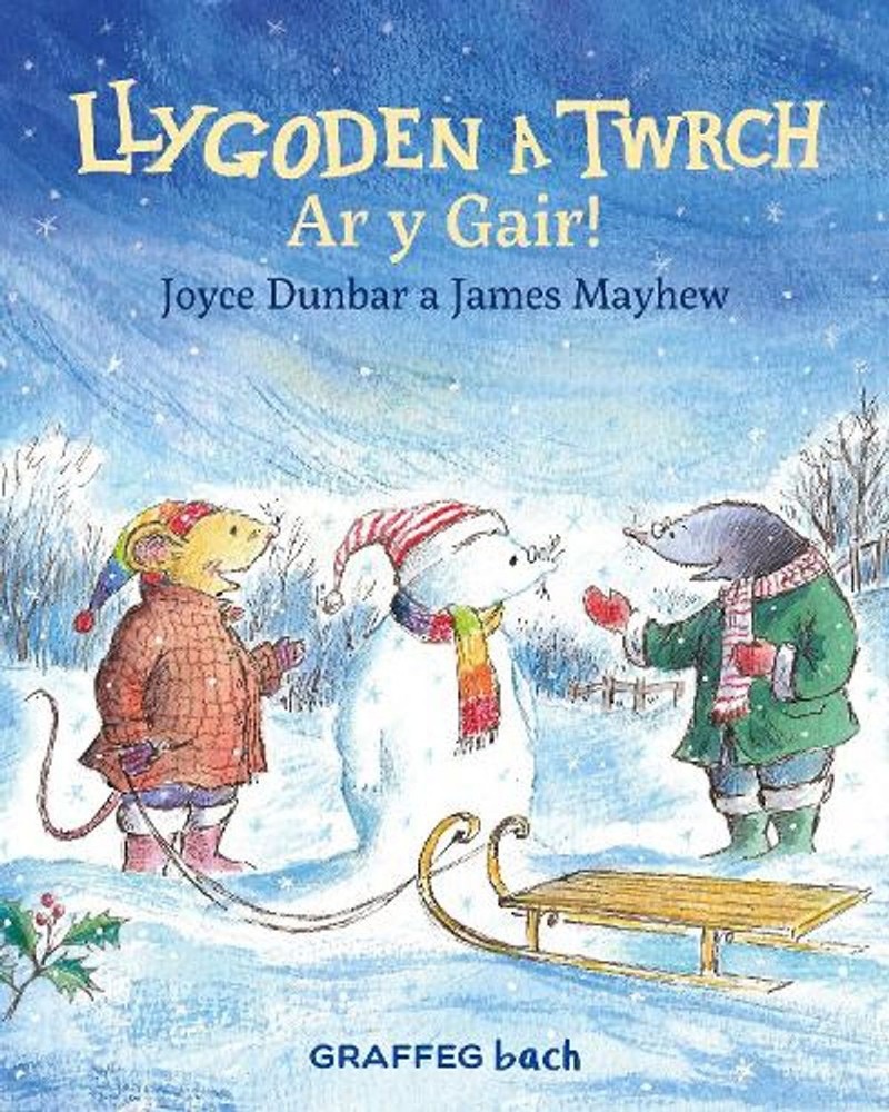 Llygoden a Twrch: Ar y Gair! by Joyce Dunbar (Welsh) Paperback Book