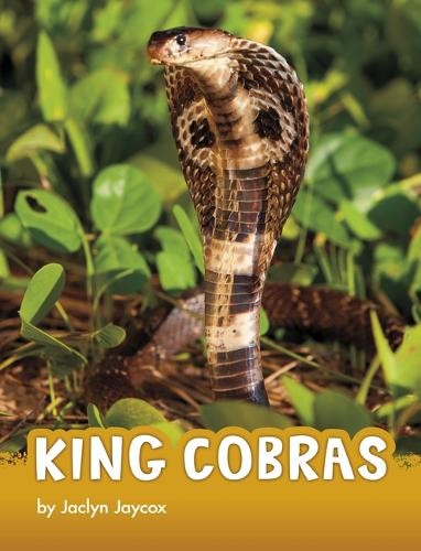 Jaclyn Jaycox King Cobras (Paperback) AnimalsAnother great item from Rarewaves USA | Free delivery!