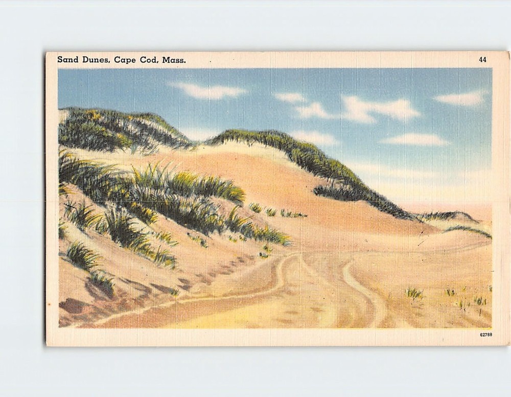 Postcard Sand Dunes Cape Cod Massachusetts USA