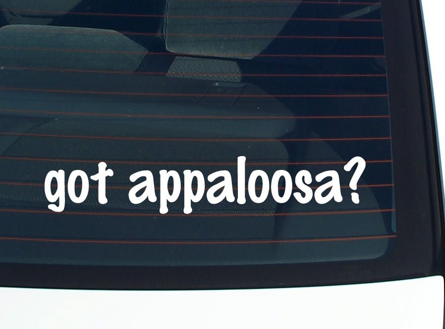 Got Appaloosa Car Decal Bumper Sticker Vinyl Funny Joke Window