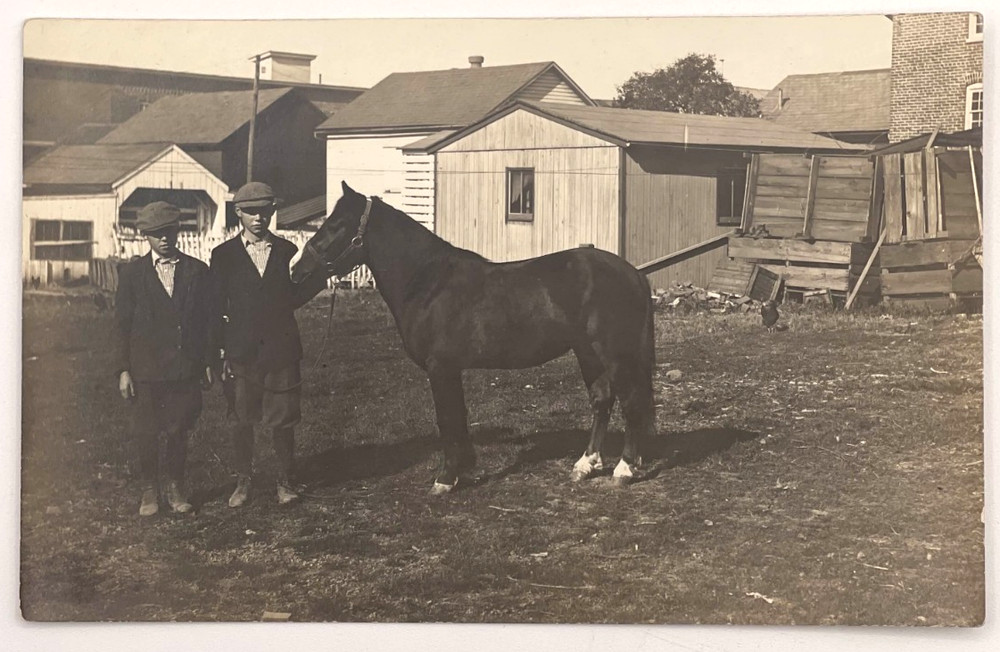 RPPC Boys with Horse Real Photo Postcard Farm Scene Barns Early 1900s