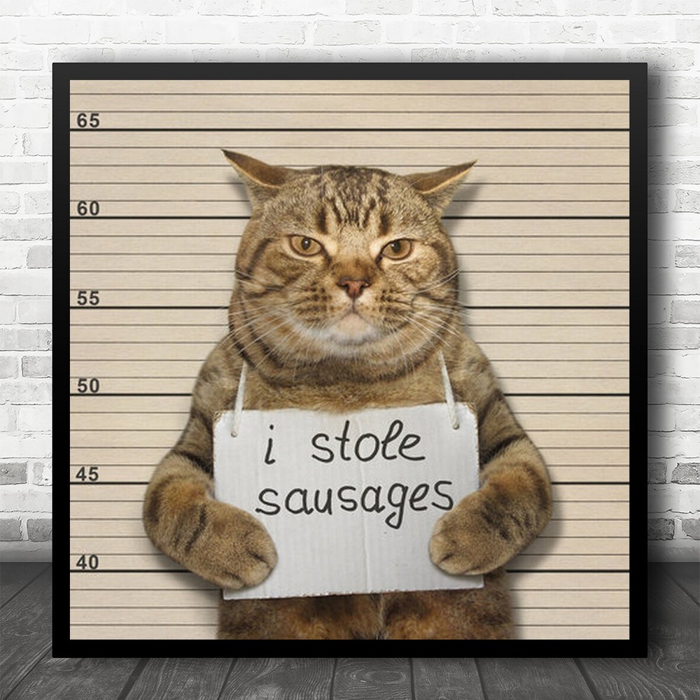 Animals Cat Kitten Kitty Criminal Crime Grey Eyes Whiskers Face Square Print