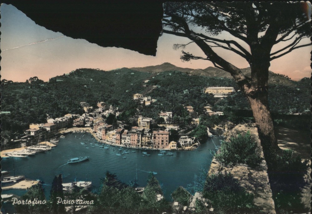 Portofino, Italy Panorama, Harbor, Colorful Buildings, Original Vintage Postcard