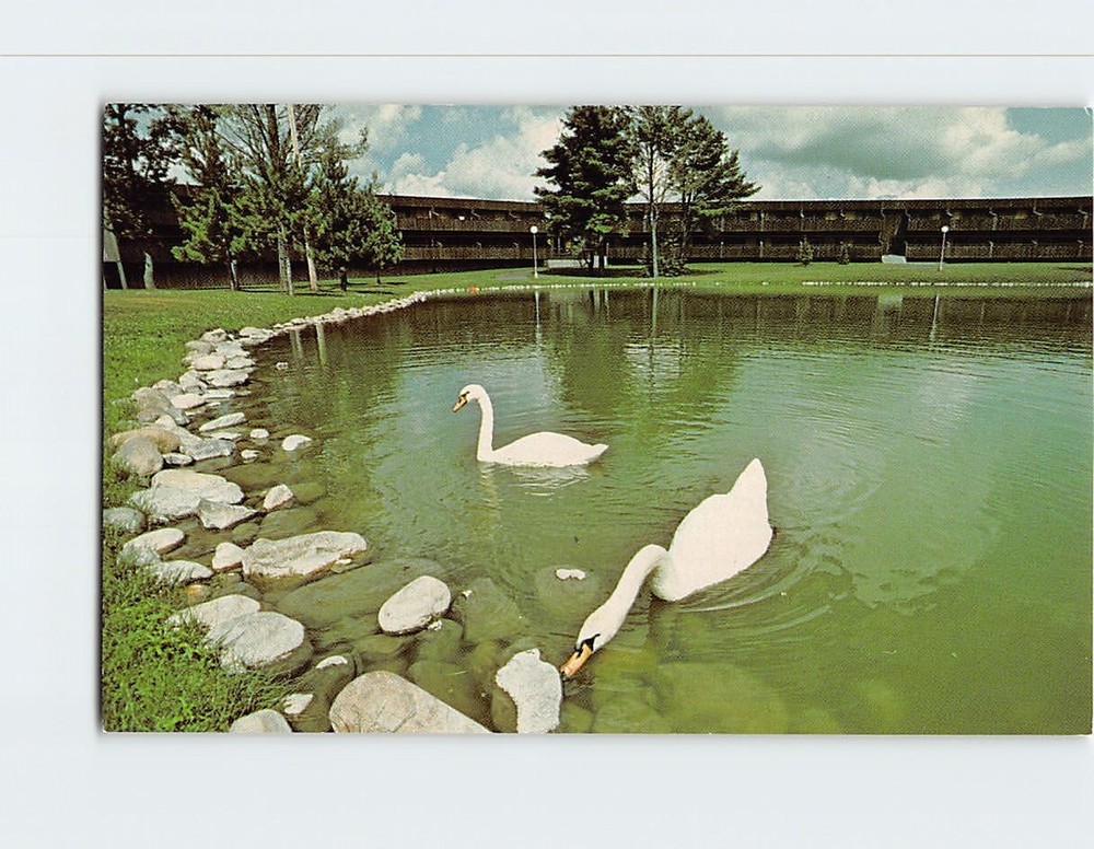 Postcard Swan Glide Postcard Telemark Lodge Cable Wisconsin