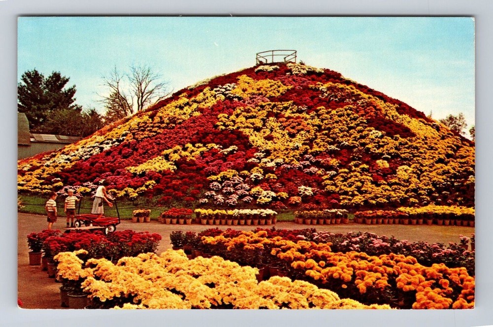 Schwenksville PA-Pennsylvania, Ott's Exotic Greenhouse, Antique Vintage Postcard