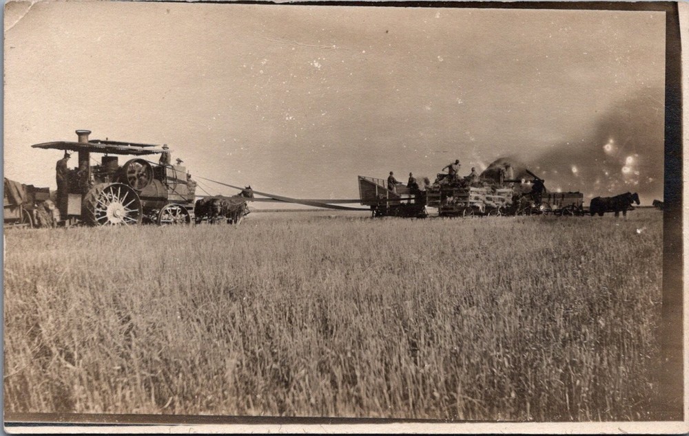 Vintage RPPC Steam Traction Engine Threshing Harvest Farm Scene Postcard