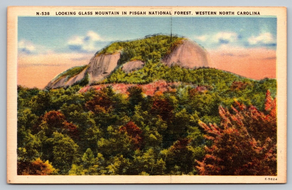 Vintage Linen Postcard Looking Glass Mountain Pisgah National Forest NC