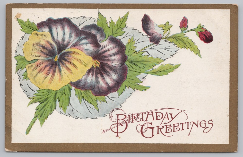 Greetings~Pansies Leaves & Birthday Greeting~Vintage Postcard