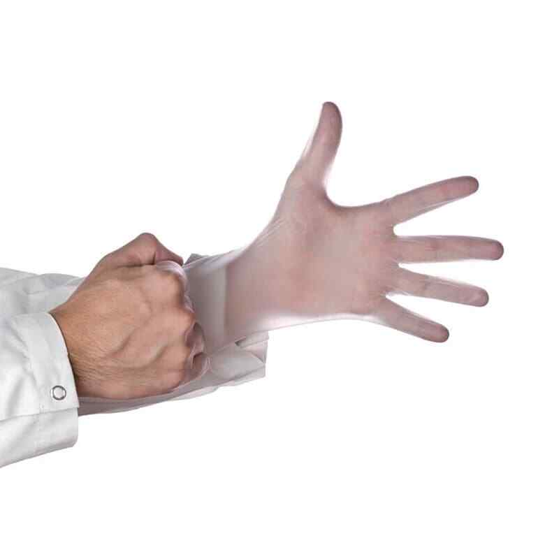 Darling Foodservice Large Powder Free Vinyl Gloves - 1000 / CS