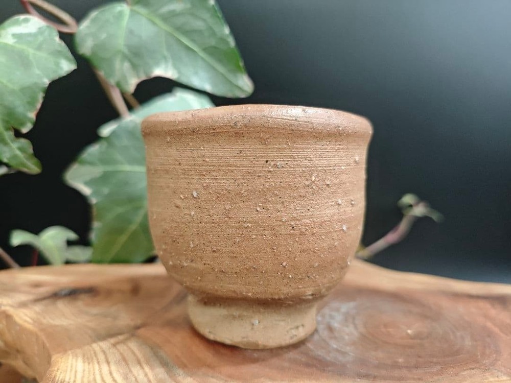 Ken Fujiwara Bizen Ware Sake Cup Handcrafted, No Chips or Cracks