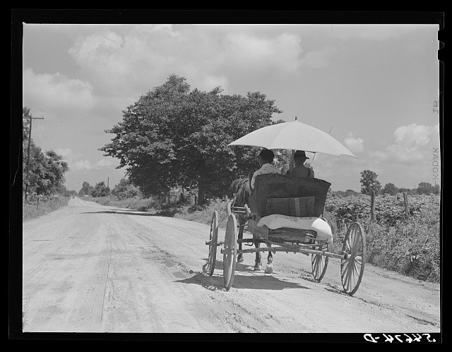 Photo:Melrose Louisiana 1940 Horse Buggy on Rural Road Umbrella