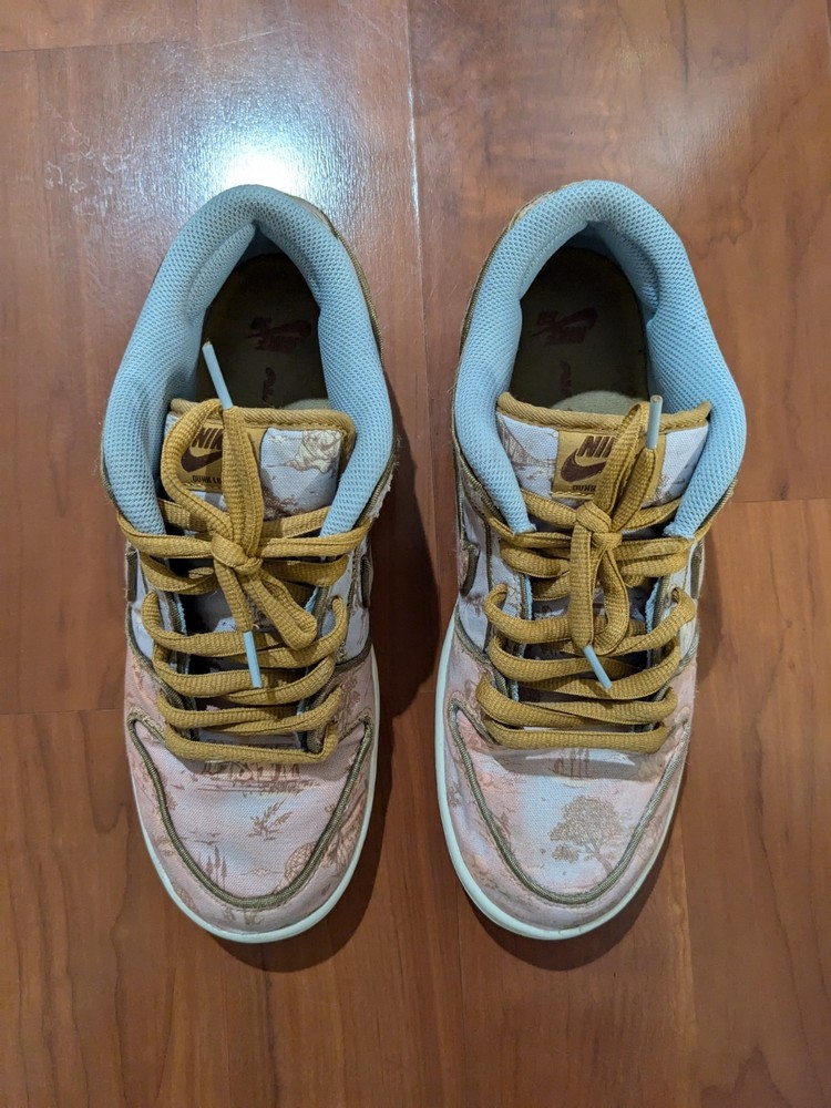 Size 9.5 - Nike Dunk Premium SB Low City of Style Pack