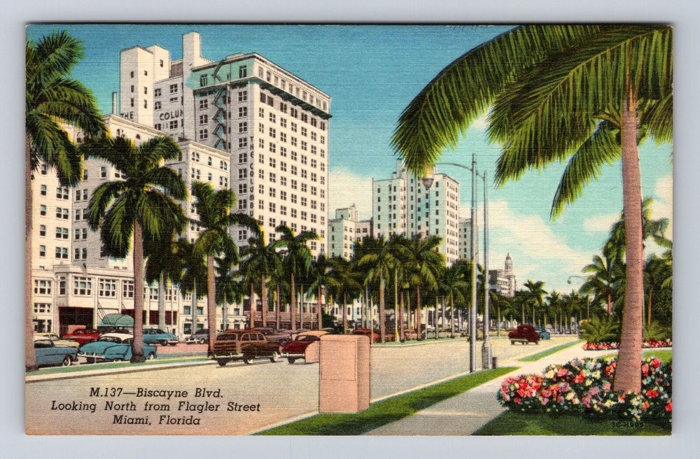 Miami FL-Florida, Biscayne Blvd, Looking North, Antique, Vintage Postcard