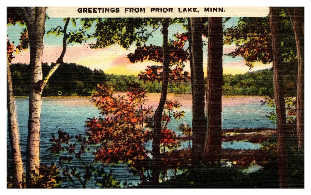 Greetings From Prior Lake Birch Tree MN Linen Postcard AH4
